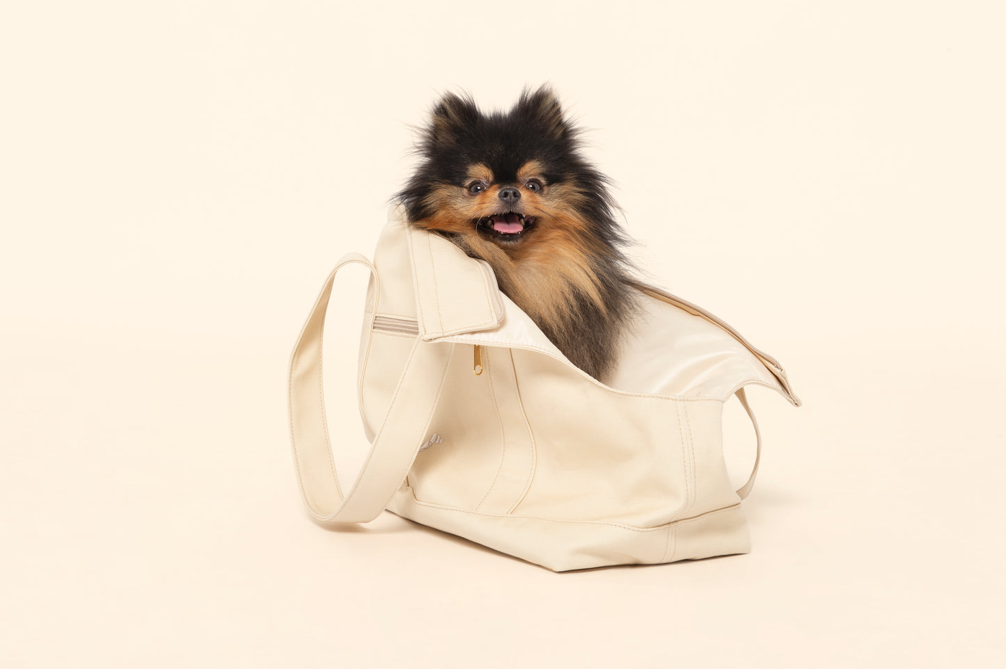 DOG CARRIER BAG