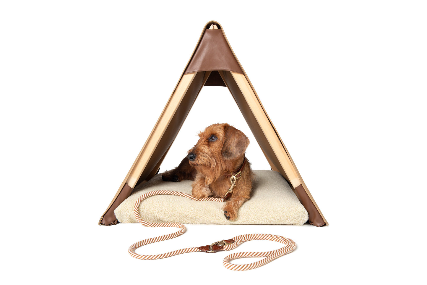 CAMPING TENT