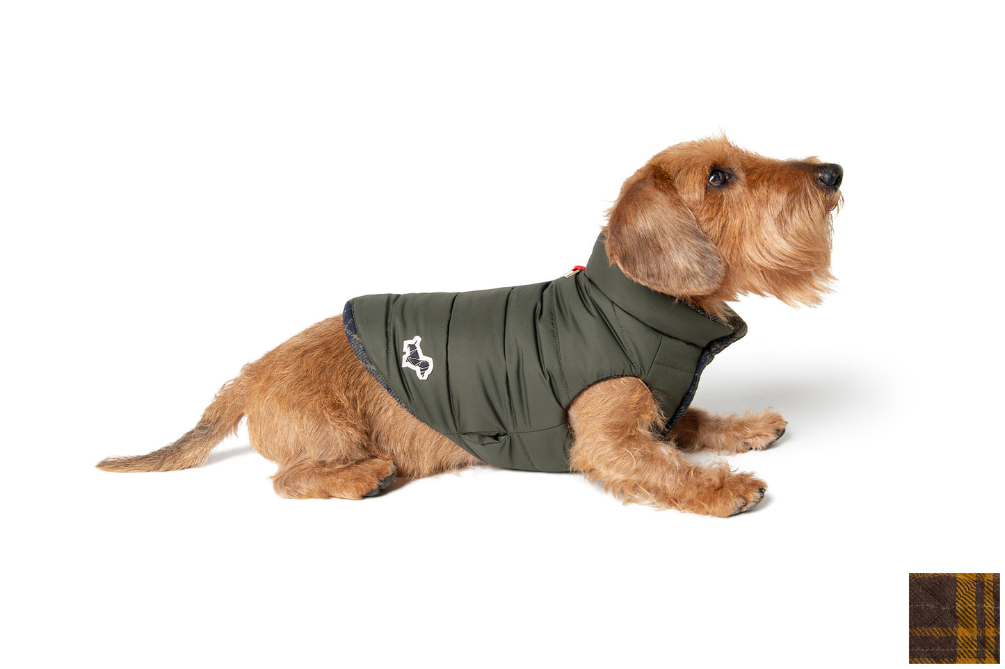 GOLDEN MEADOW COAT