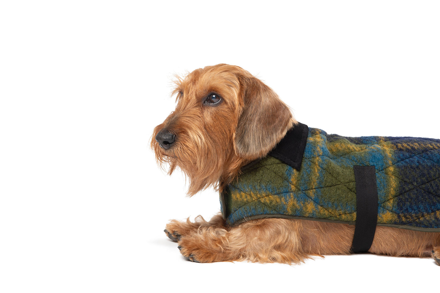PINE PEAK COAT