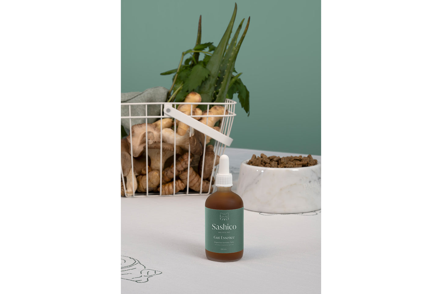 SASHICO - GUT ESSENCE