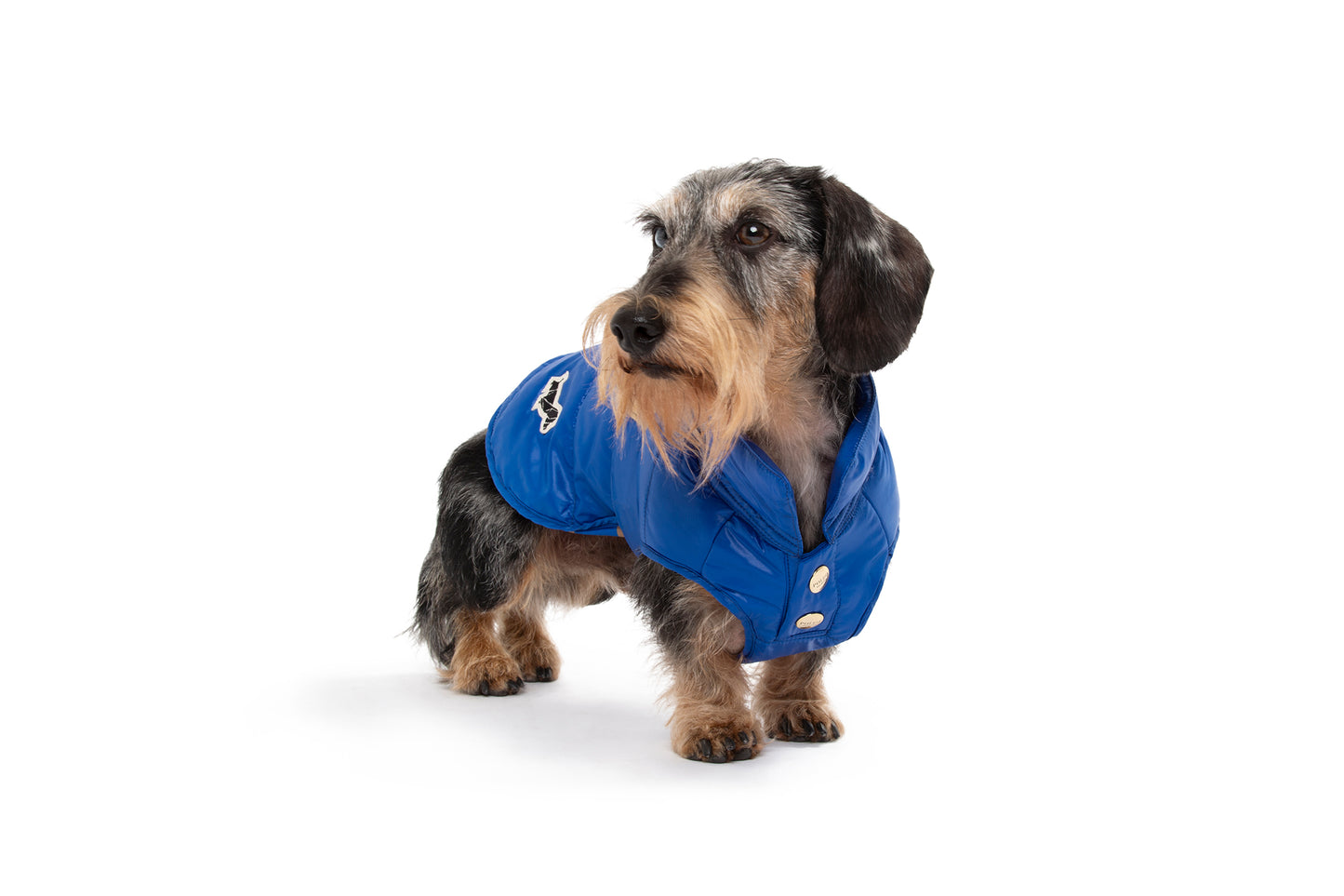 UNDERGROUND RAINCOAT