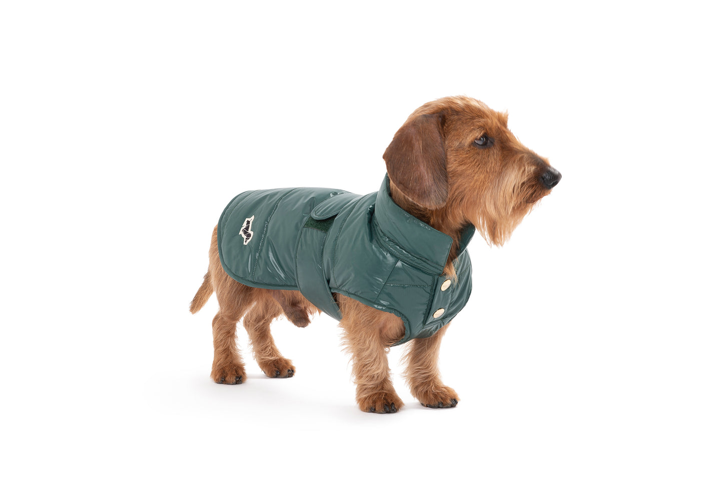 UNDERGROUND RAINCOAT