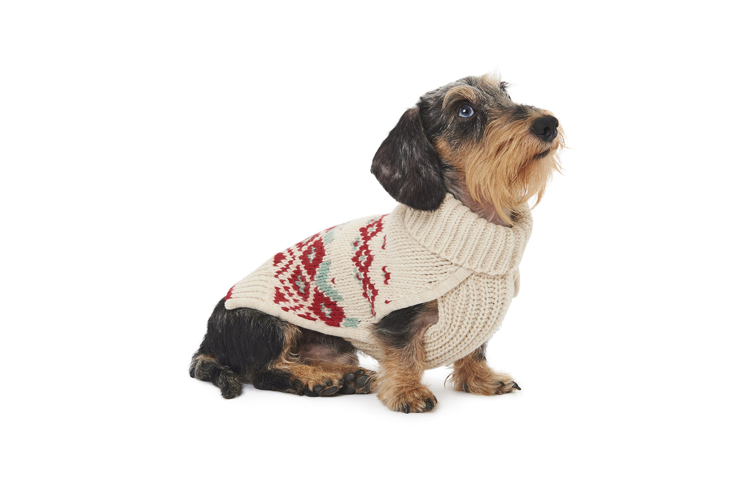 INTARSIA SWEATER