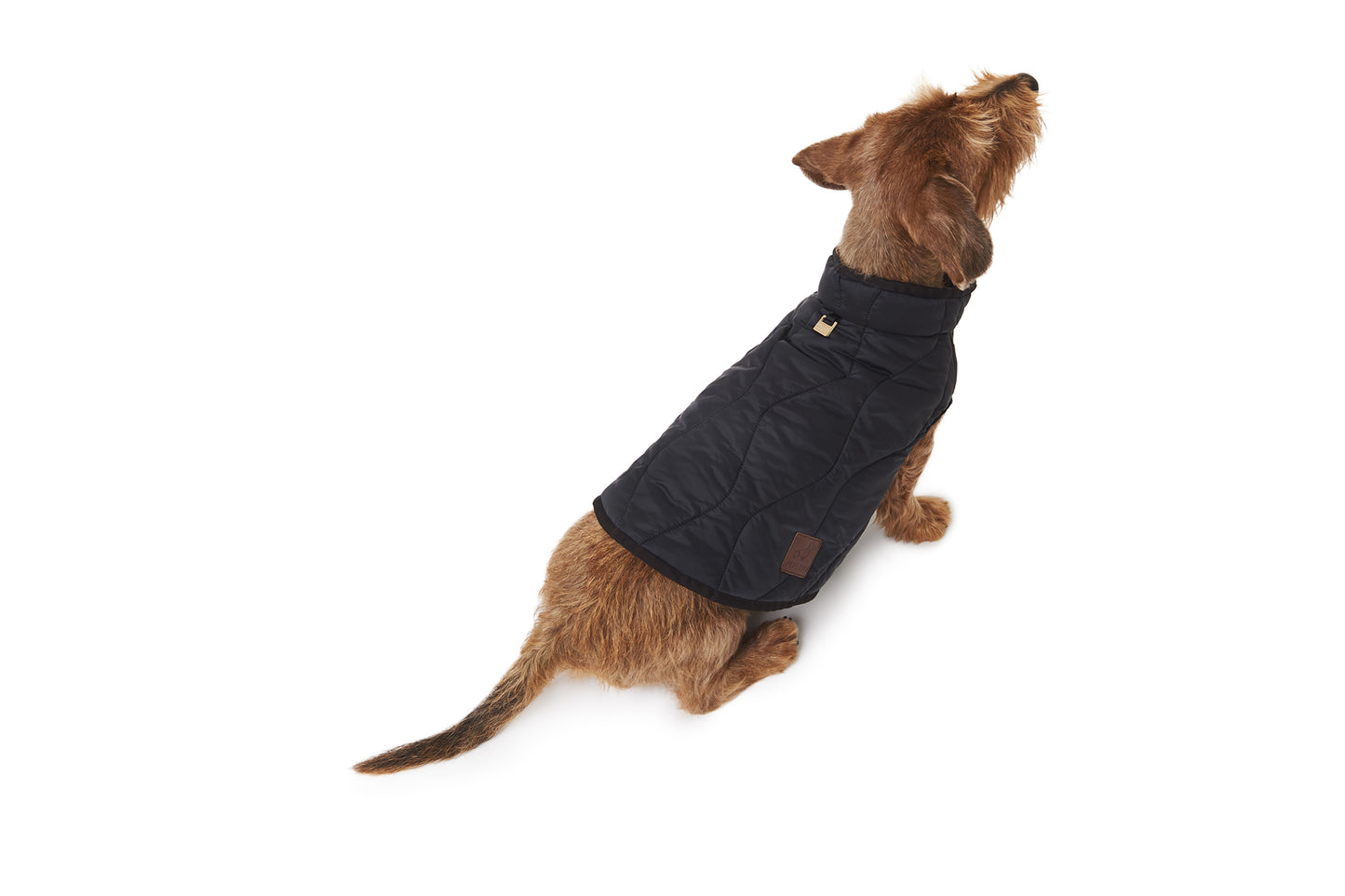 MID-SEASON DOG GILET