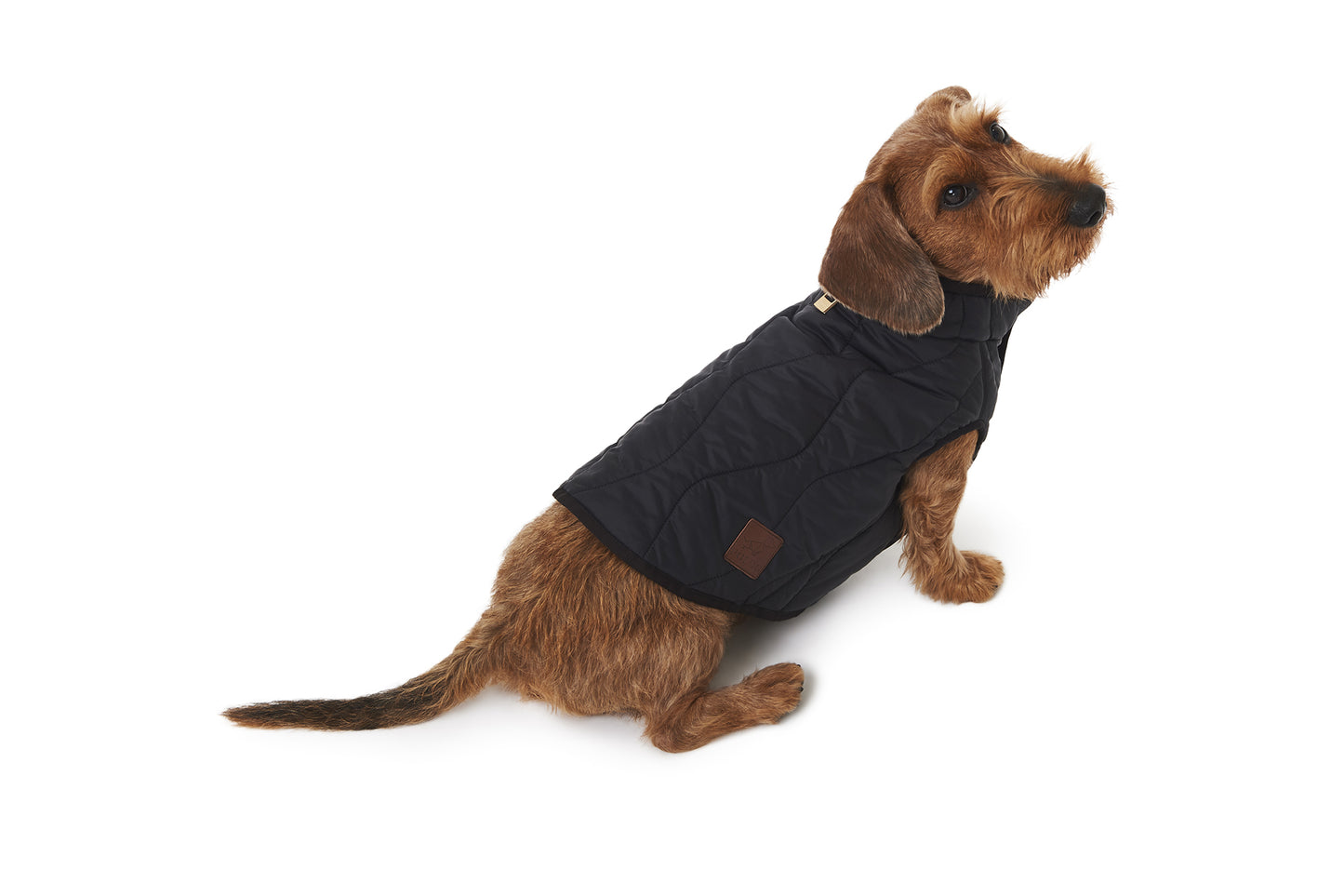 MID-SEASON DOG GILET