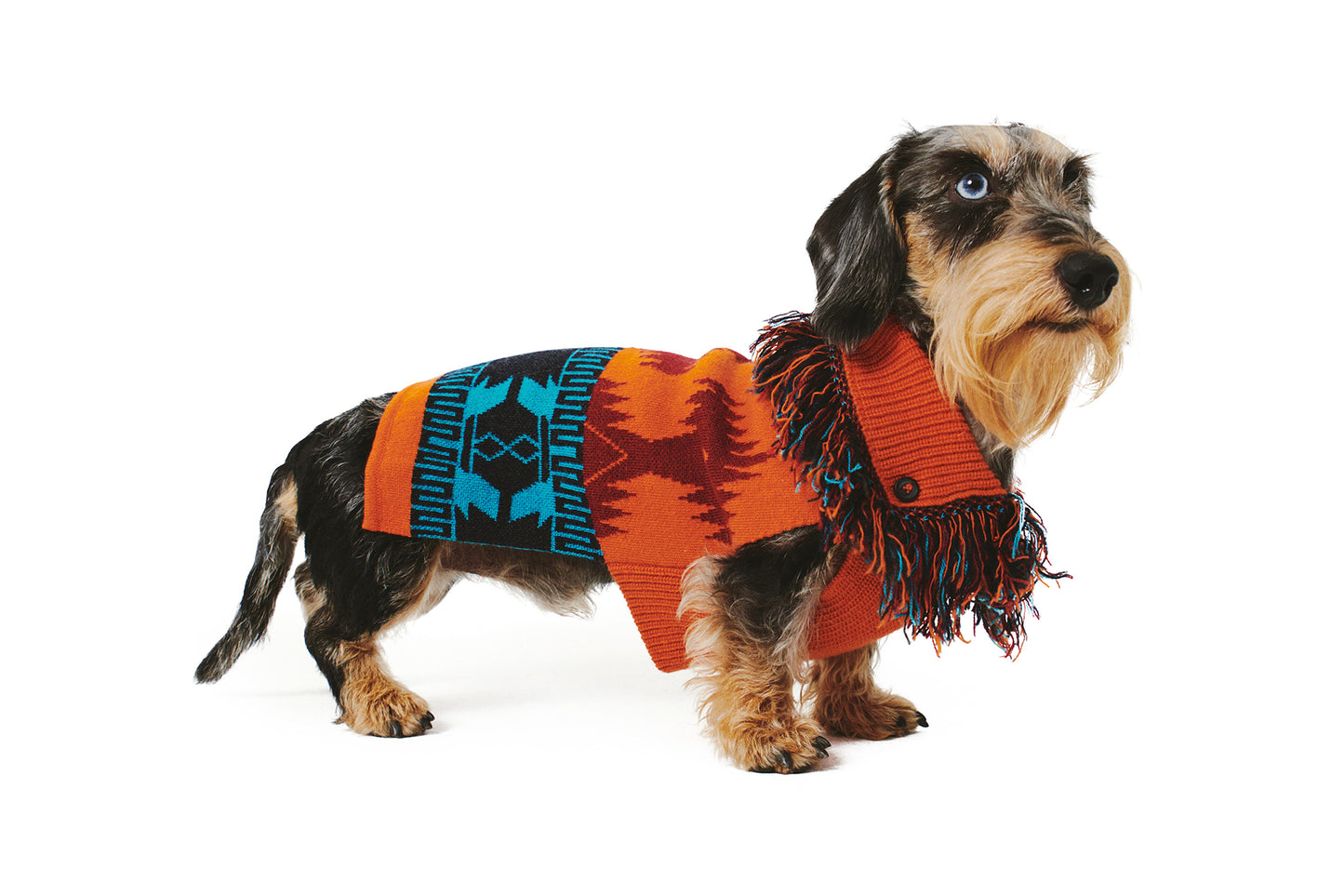 POLDO x ALANUI SWEATER