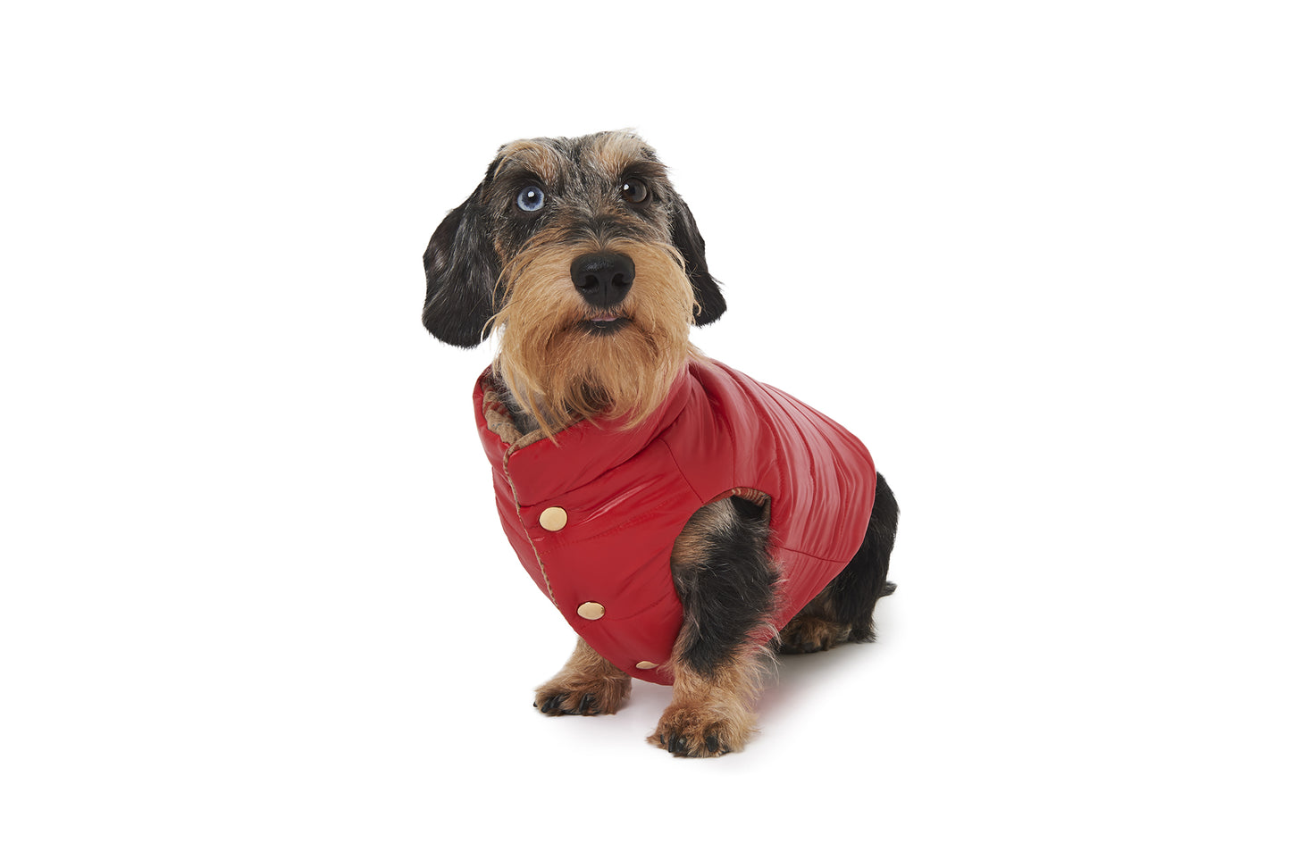 TRENTO WOOL