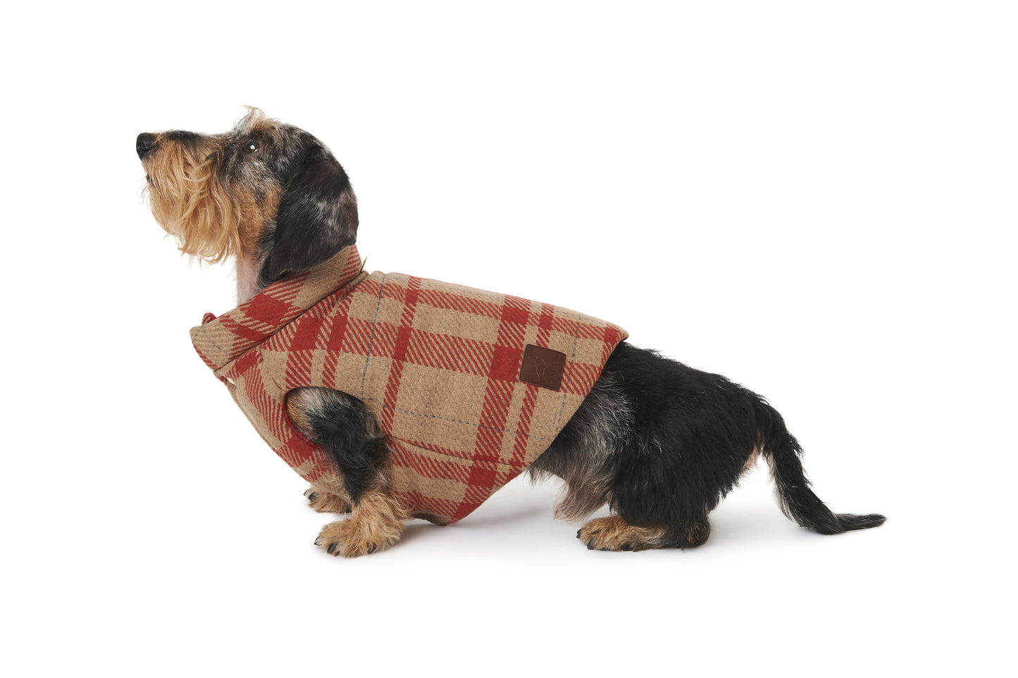 TRENTO WOOL