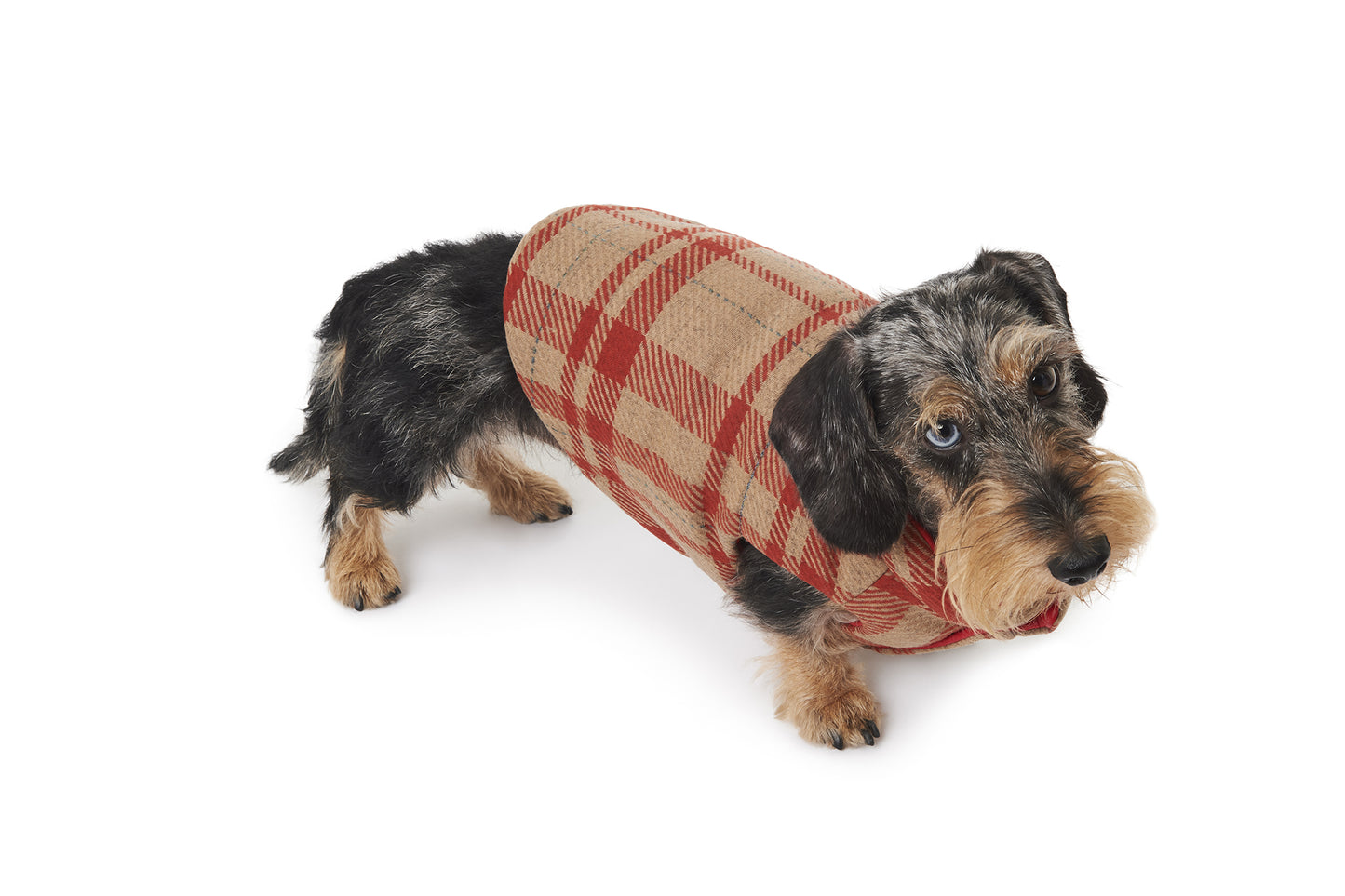 TRENTO WOOL