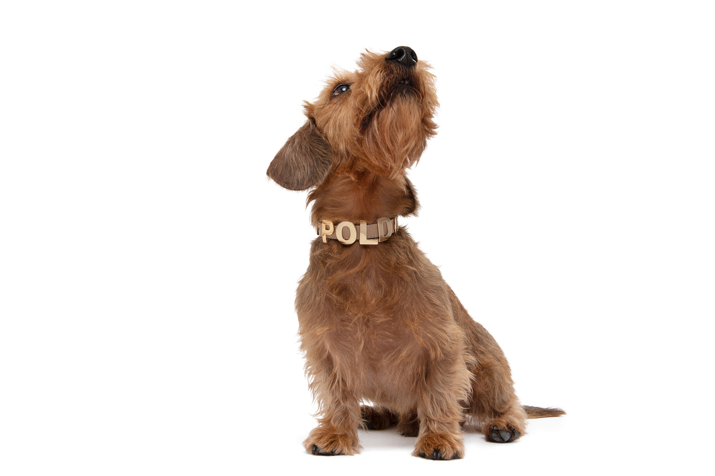 POLDO X LIL - COLLAR