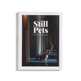 STILL PETS