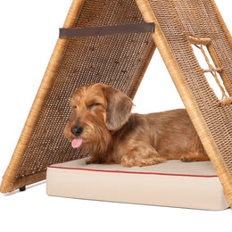 RATTAN TENT