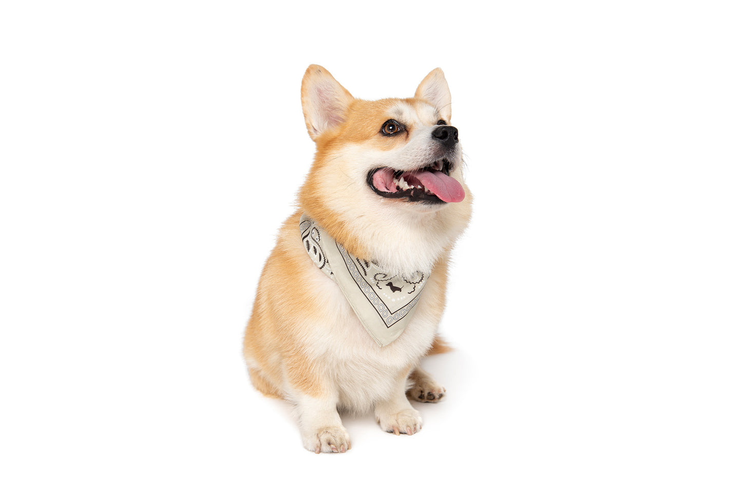BEIGE BANDANA
