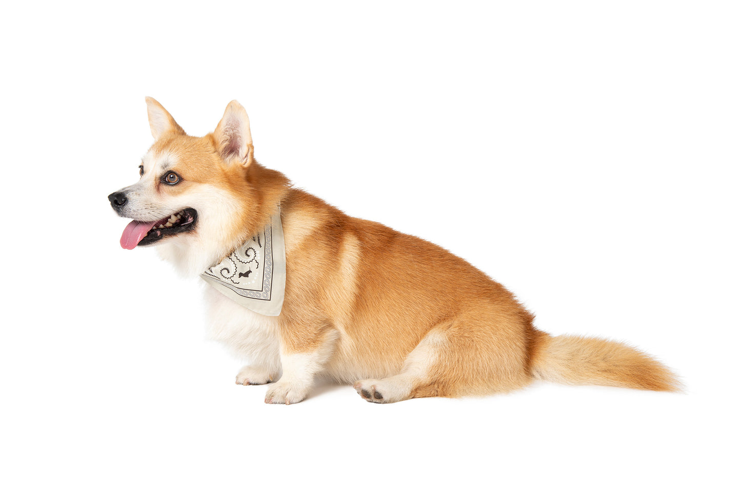 BEIGE BANDANA