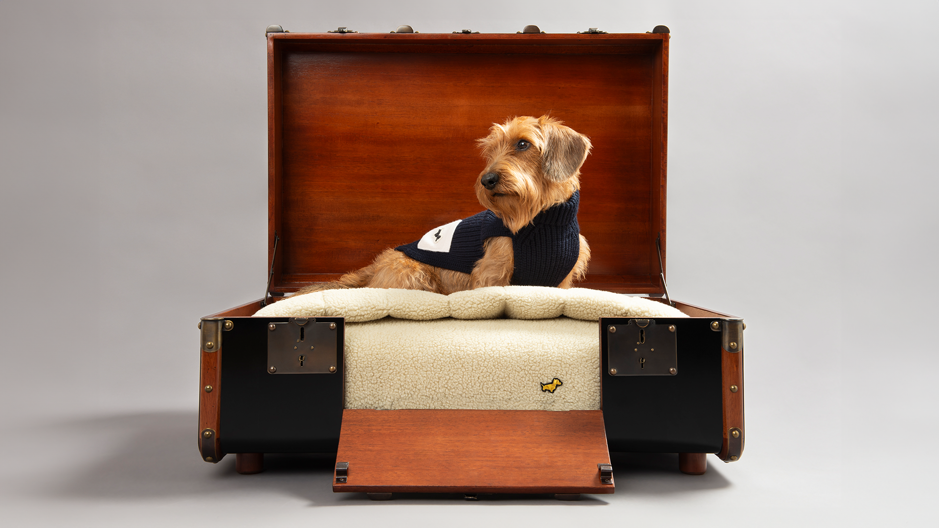 Poldo 2024 dog couture