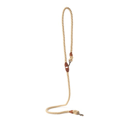 BONFIRE LEASH