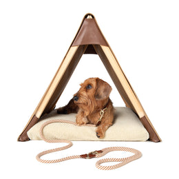 CAMPING TENT