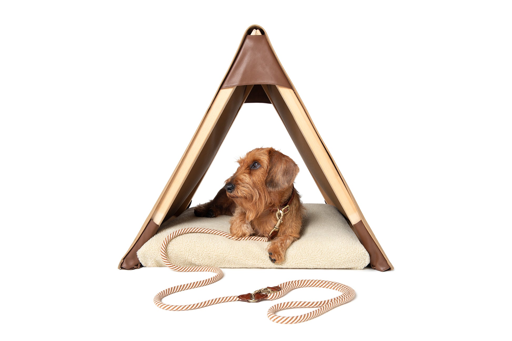 dog tent camping CAMPING TENT – Poldo Dog Couture