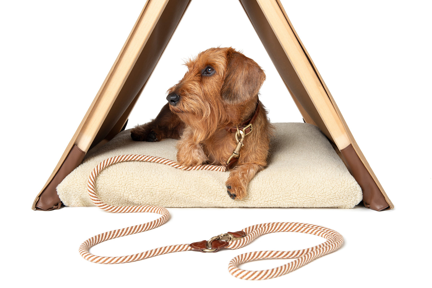 CAMPING TENT