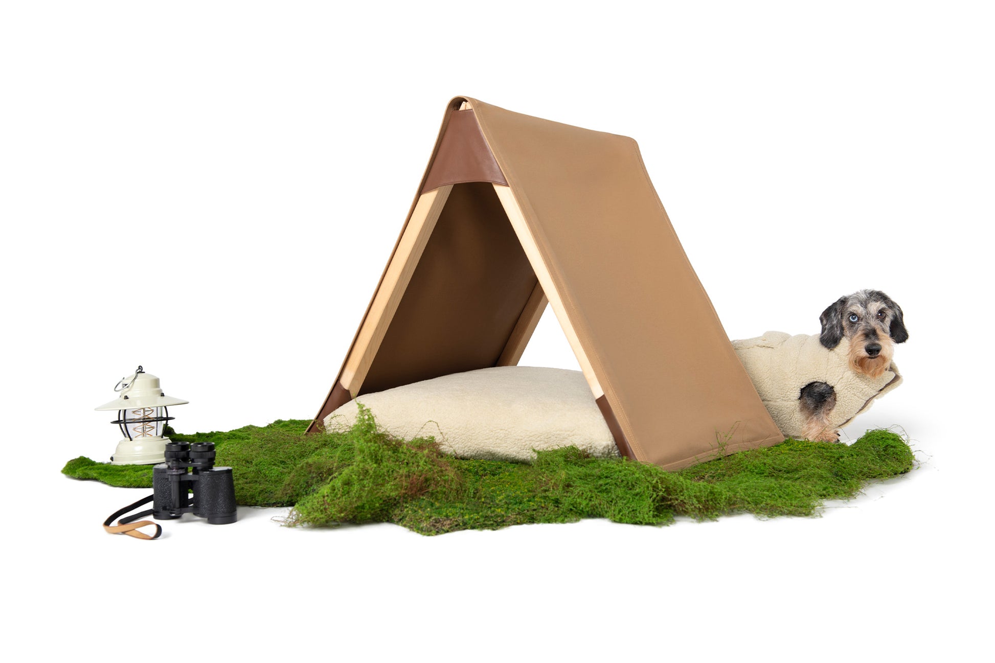 dog camping tent CAMPING TENT – Poldo Dog Couture