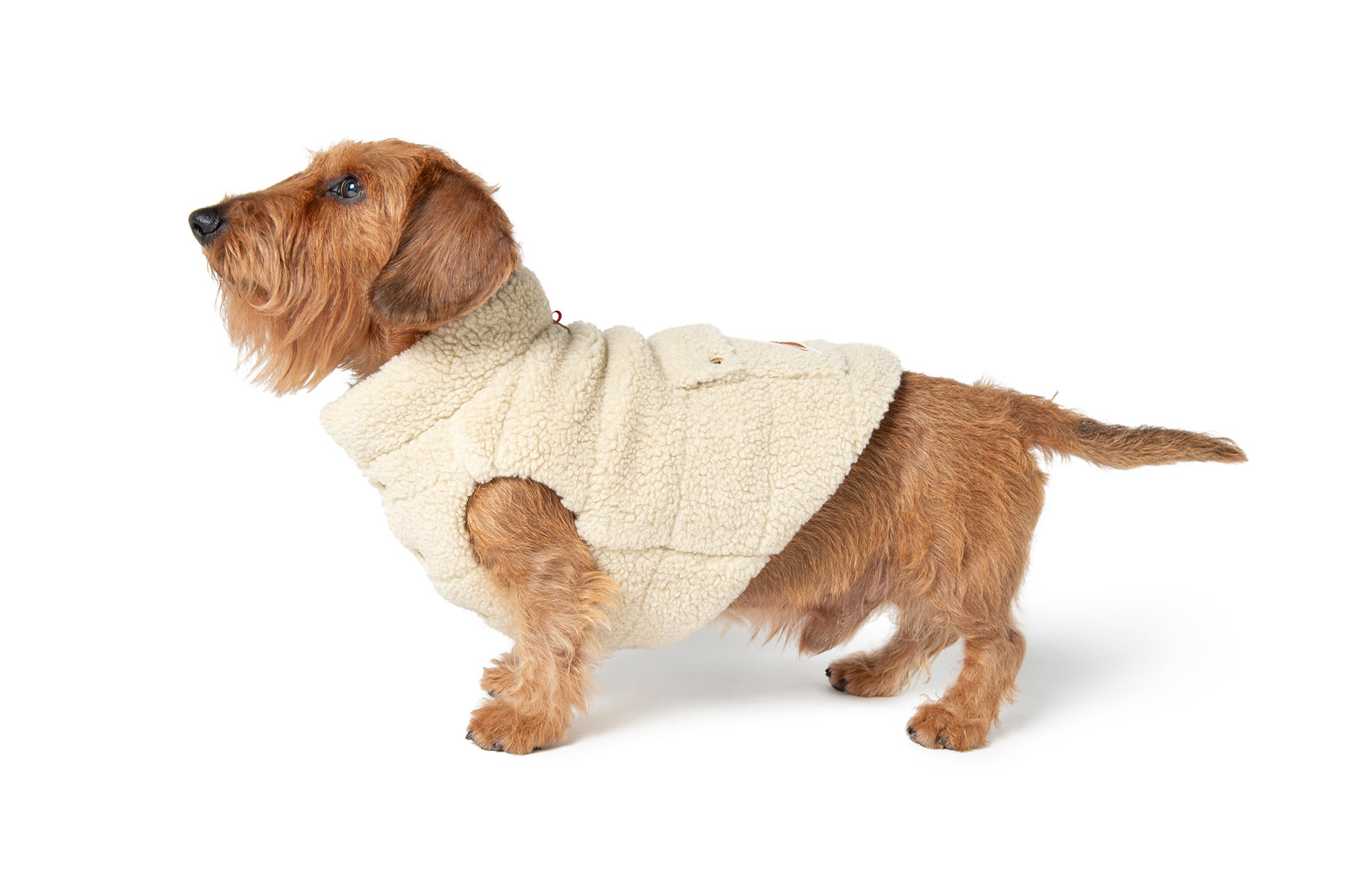 tent coat DESERT TENT COAT – Poldo Dog Couture