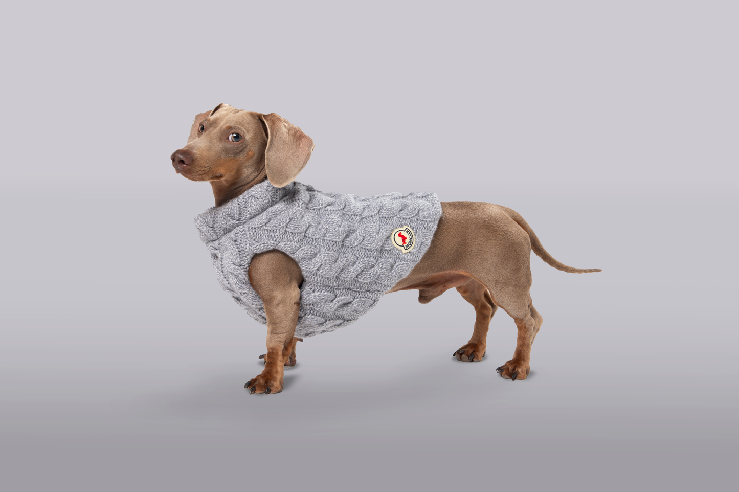 POLDO X MONCLER Poldo Dog Couture