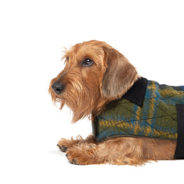 PINE PEAK COAT
