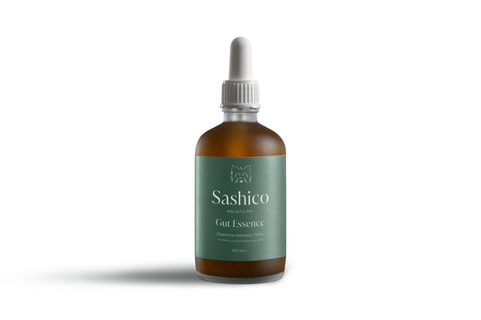 SASHICO - GUT ESSENCE