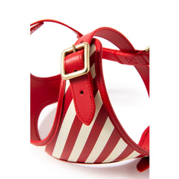 STRIPED HARNESS