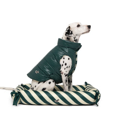 ZEN DOG BED