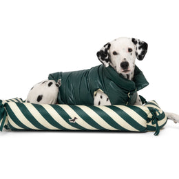 ZEN DOG BED
