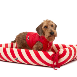 ZEN DOG BED