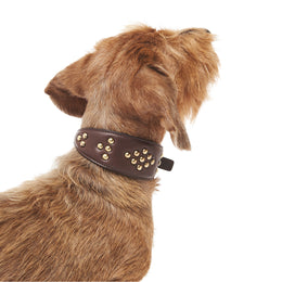 LEATHER GREYHOUND COLLAR