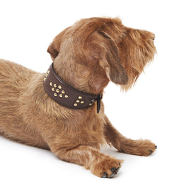 LEATHER GREYHOUND COLLAR