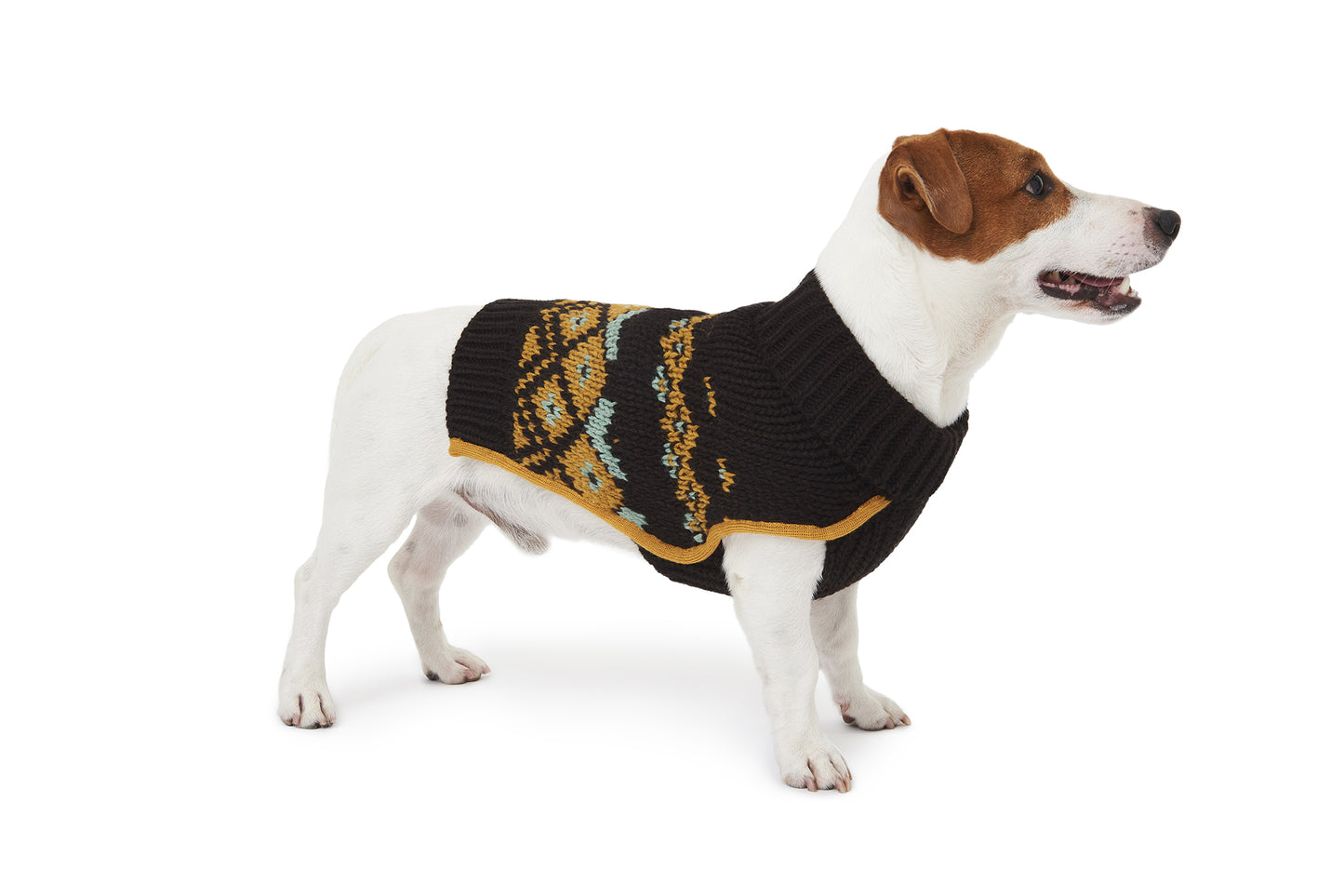 INTARSIA SWEATER