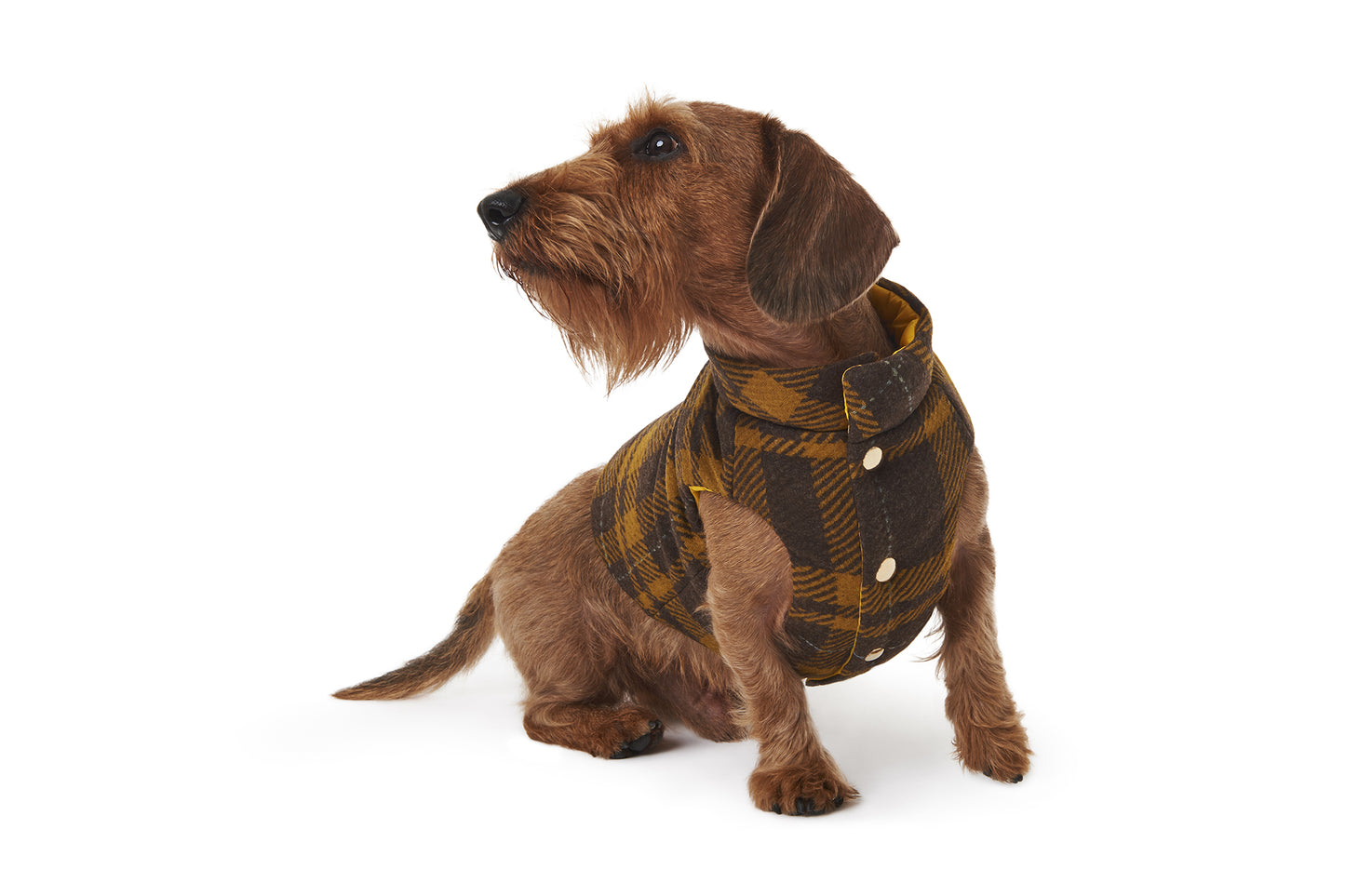 TRENTO WOOL