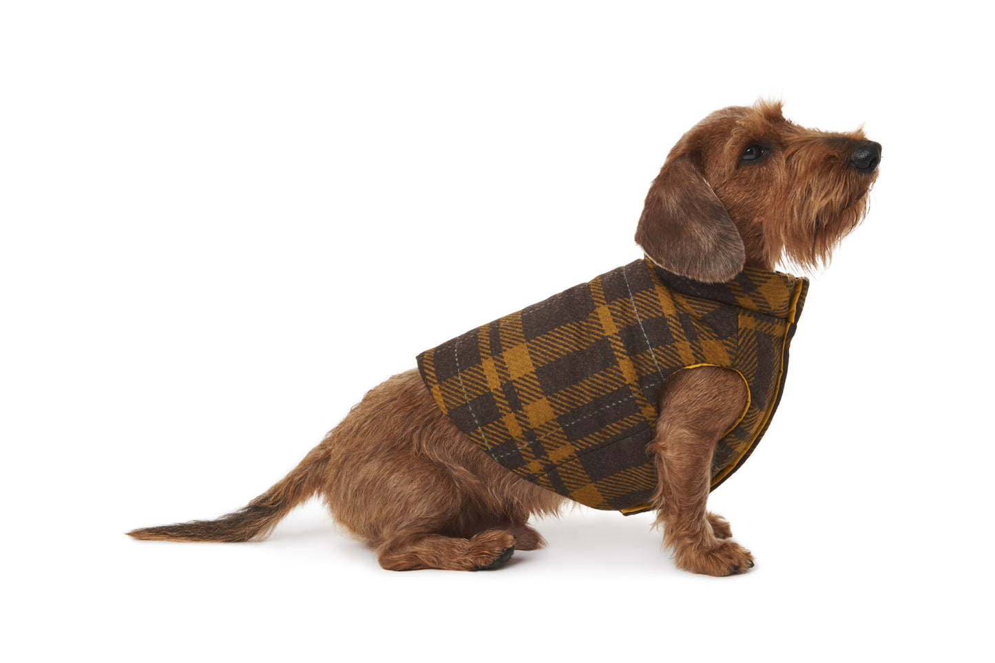 TRENTO WOOL