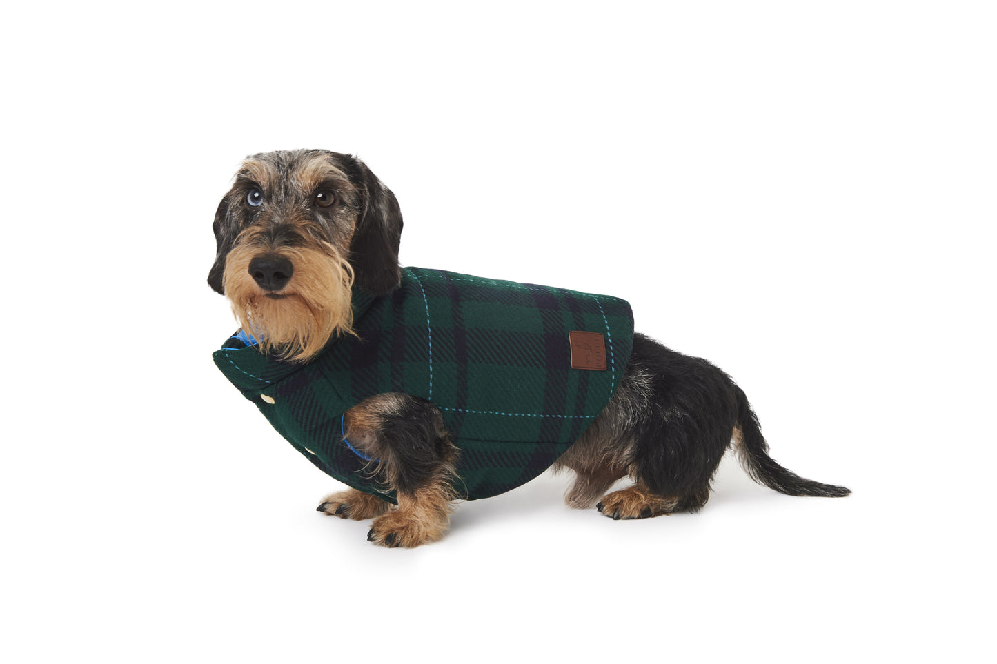 TRENTO WOOL
