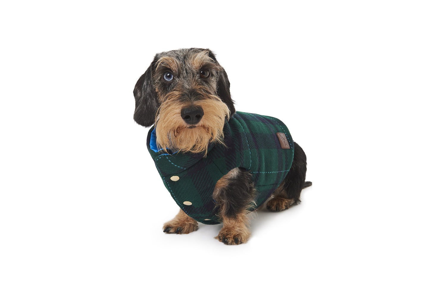 TRENTO WOOL