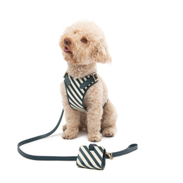 LEATHER LEASH