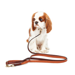 SHOULDER LEASH