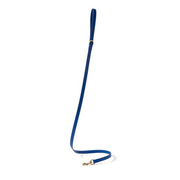 LEATHER LEASH