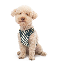 STRIPED HARNESS