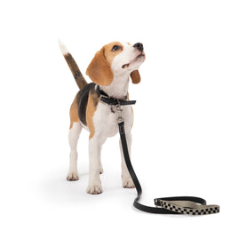 RAW&CO. LEASH