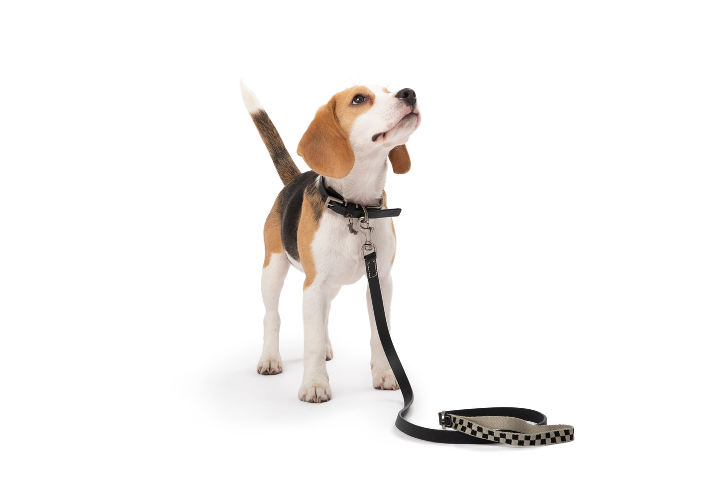 RAW&CO. LEASH