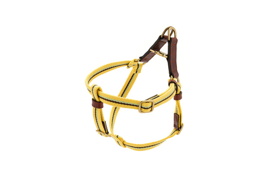 CREMA HARNESS