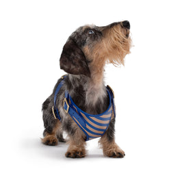 STRIPED HARNESS