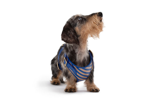 DOG BAG HOLDER – Poldo Dog Couture