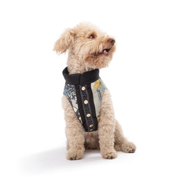 POLDO X RUBINACCI GILET